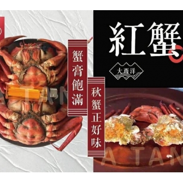 (20組)急凍大西洋紅蟹 3入/組